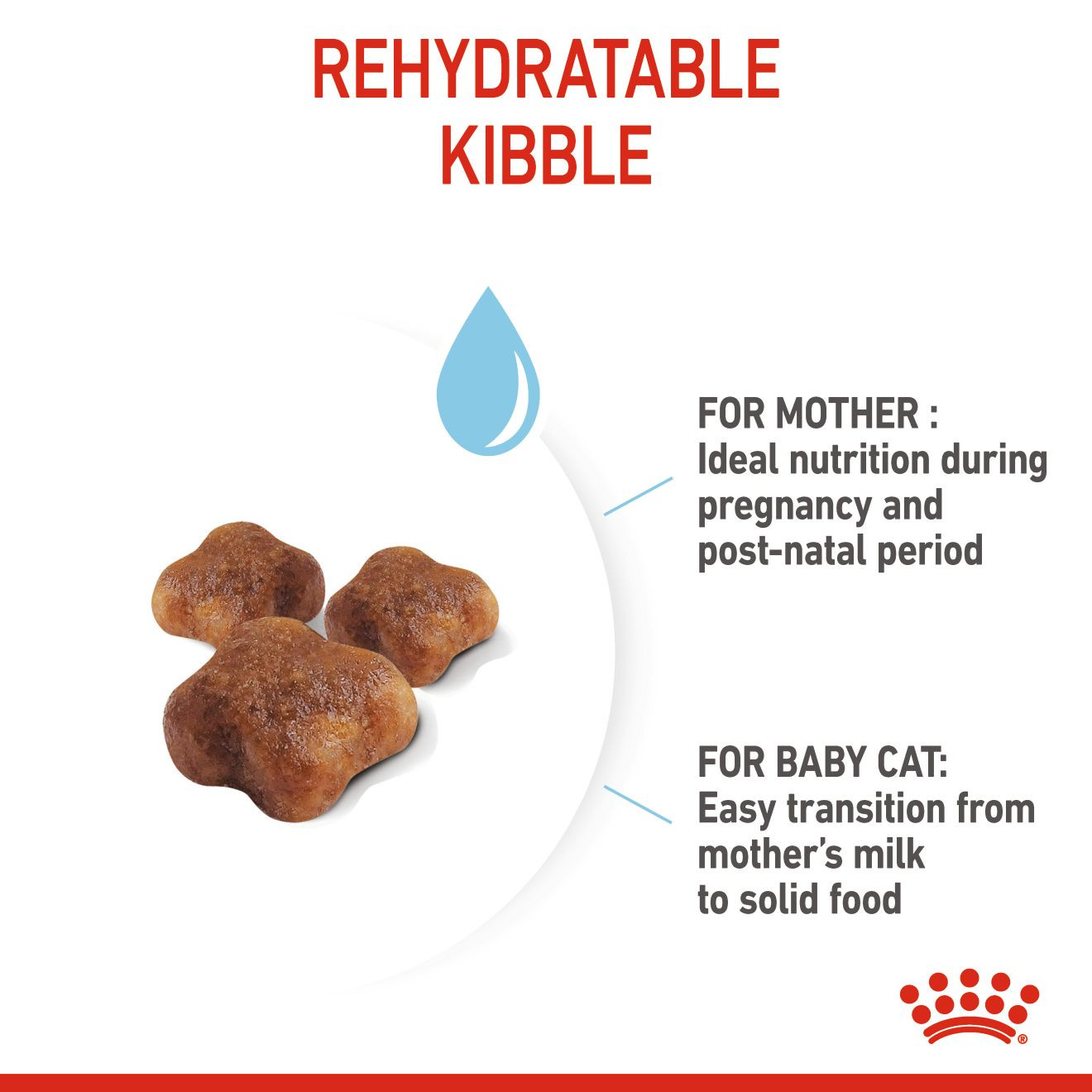 Royal Canin Feline Health Mother & Babycat ‚4kg Nursing & Weaning Formula
