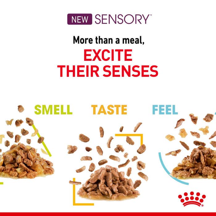 Feline Health Nutrition Sensory Taste Gravy (Wet Food - Pouches) 12X85G