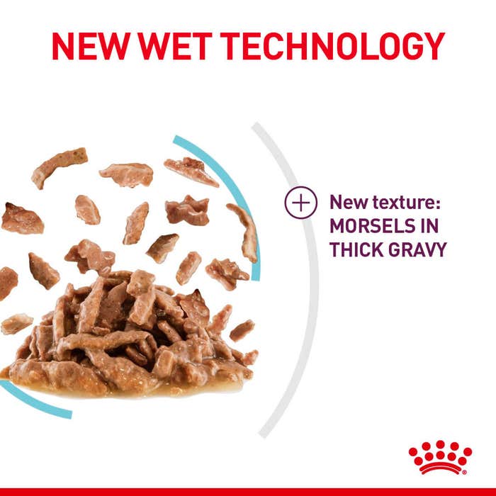 Feline Health Nutrition Sensory Feel Gravy (Wet Food - Pouches) 12X85G