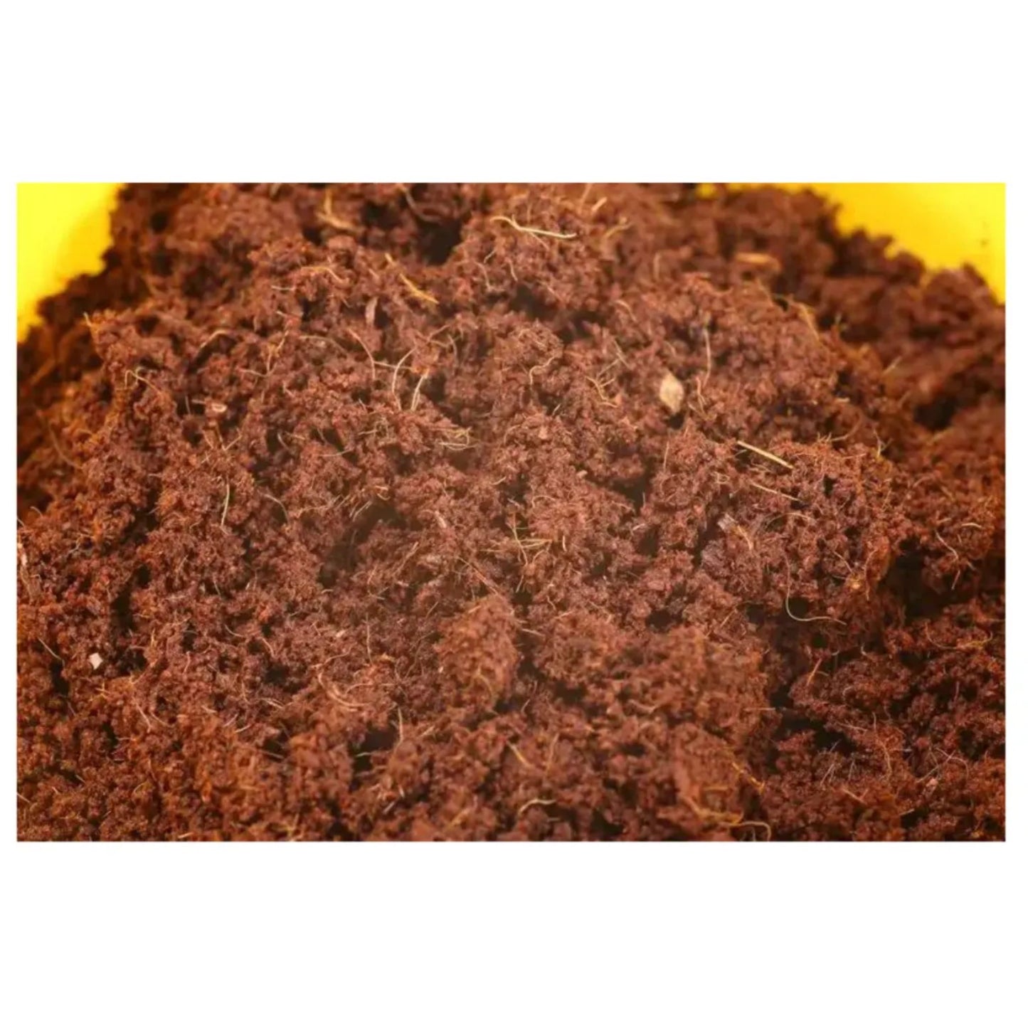 Sera Reptile Coco Soil – 650g/8L