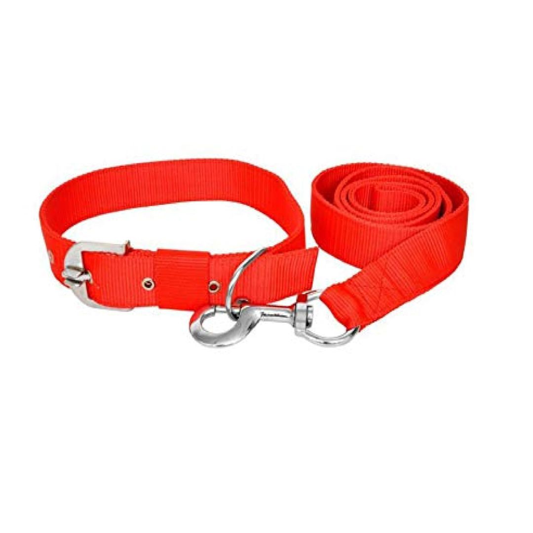 Duvo+ Collar Red Dog Collar Reddimension: 35-42Cm X 19Mm