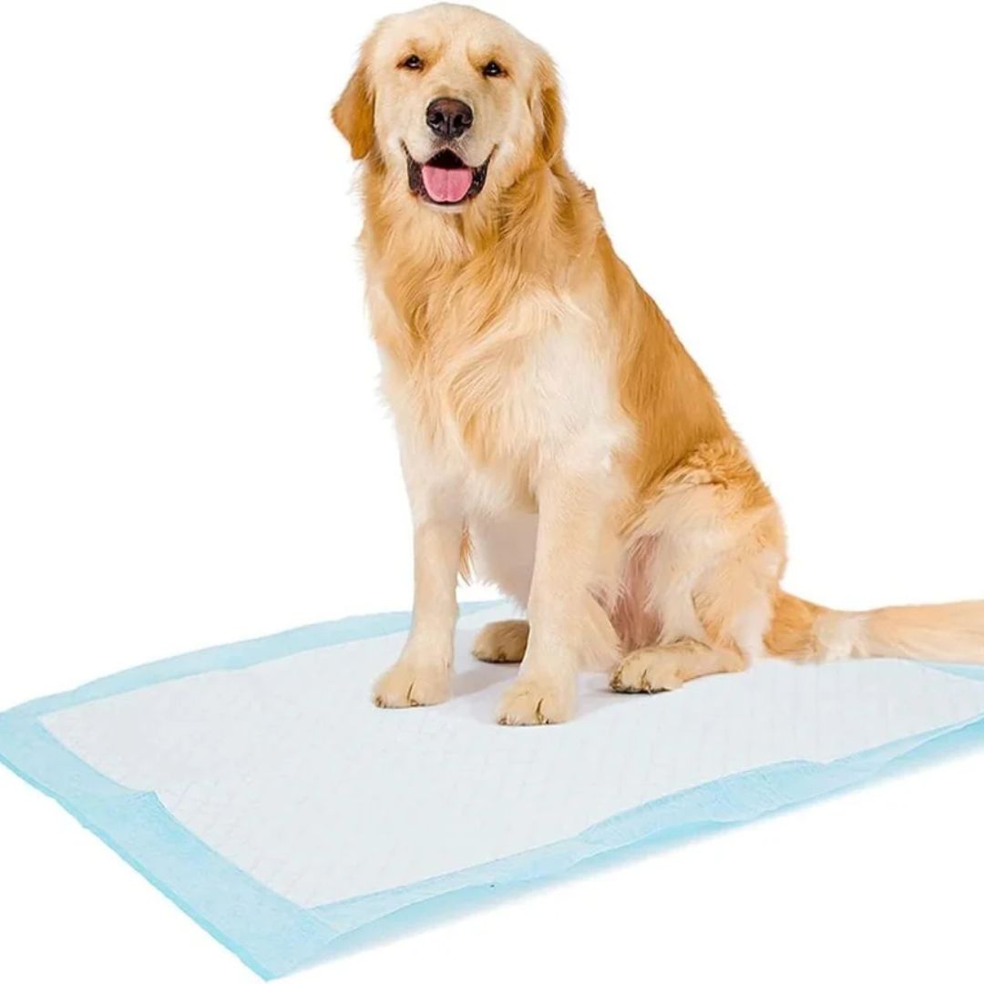 Duvo+ Pet Pads Premium XL – 60x60cm, 7pcs, Week Pack