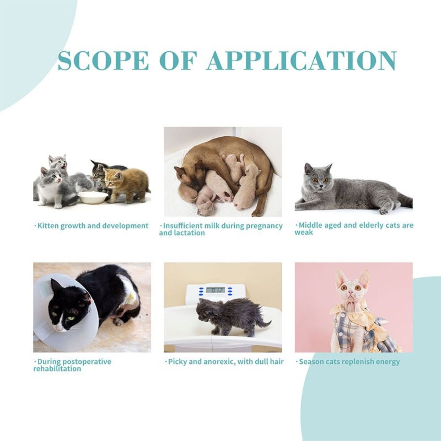 Scope of application for pet care products or services, featuring images of cats and a dog with text.