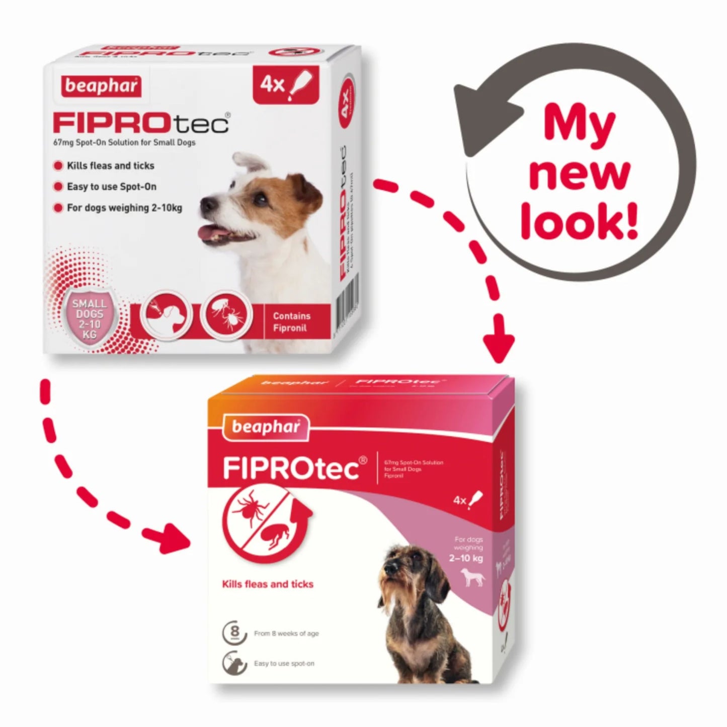 Beaphar Fiprotec For Small Dog - 4 Pipettes