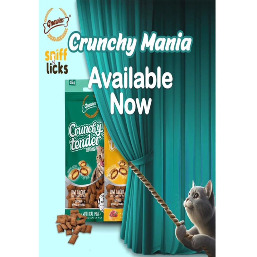 Gnawlers Crunchy & Tender Cat Treats – Chicken & Milk Flavor 65g