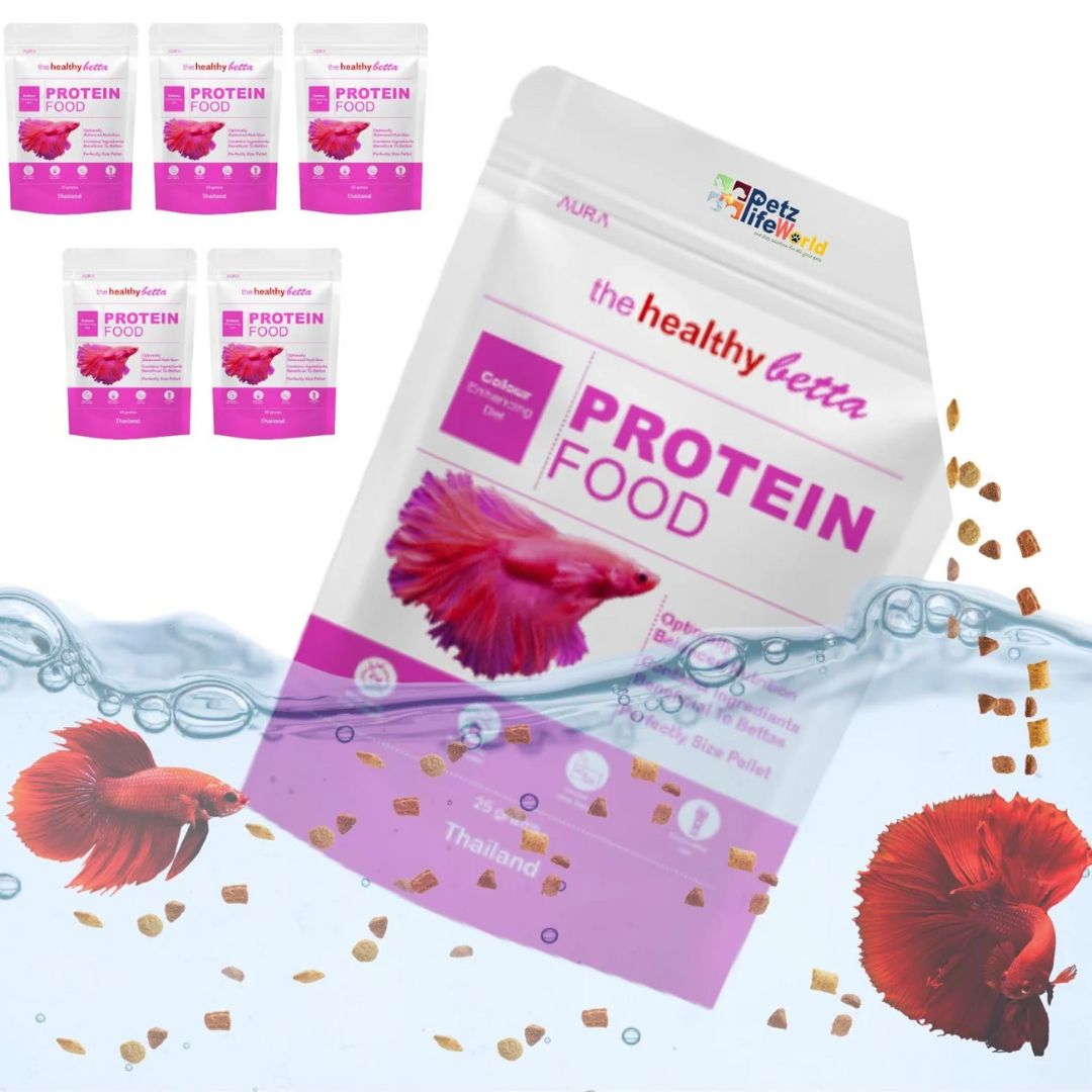Horizone Aura Betta Protein Fish Food – 25g