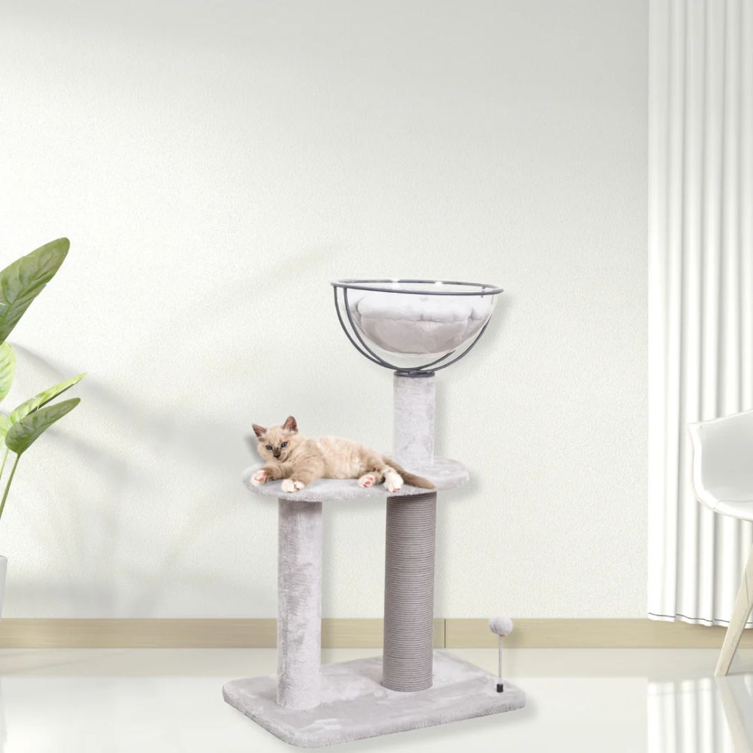 Catry Cat Scratching Tree 58x39x91h Cm