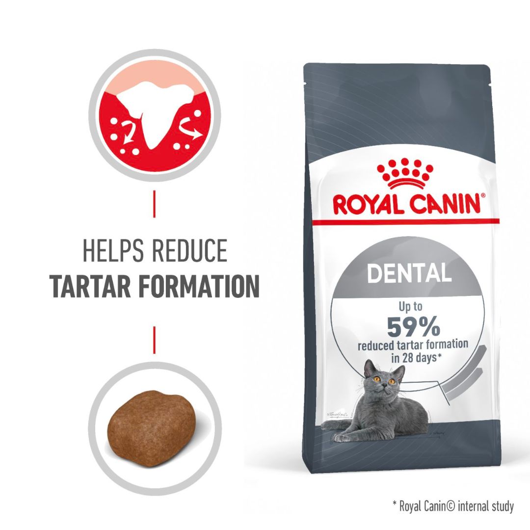 Royal Canin Feline Care Nutrition Dental Care Cat Dry food 1.5kg