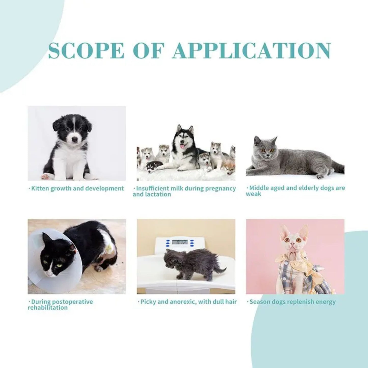 Scope of application for pet care products or services with images of dogs and cats.