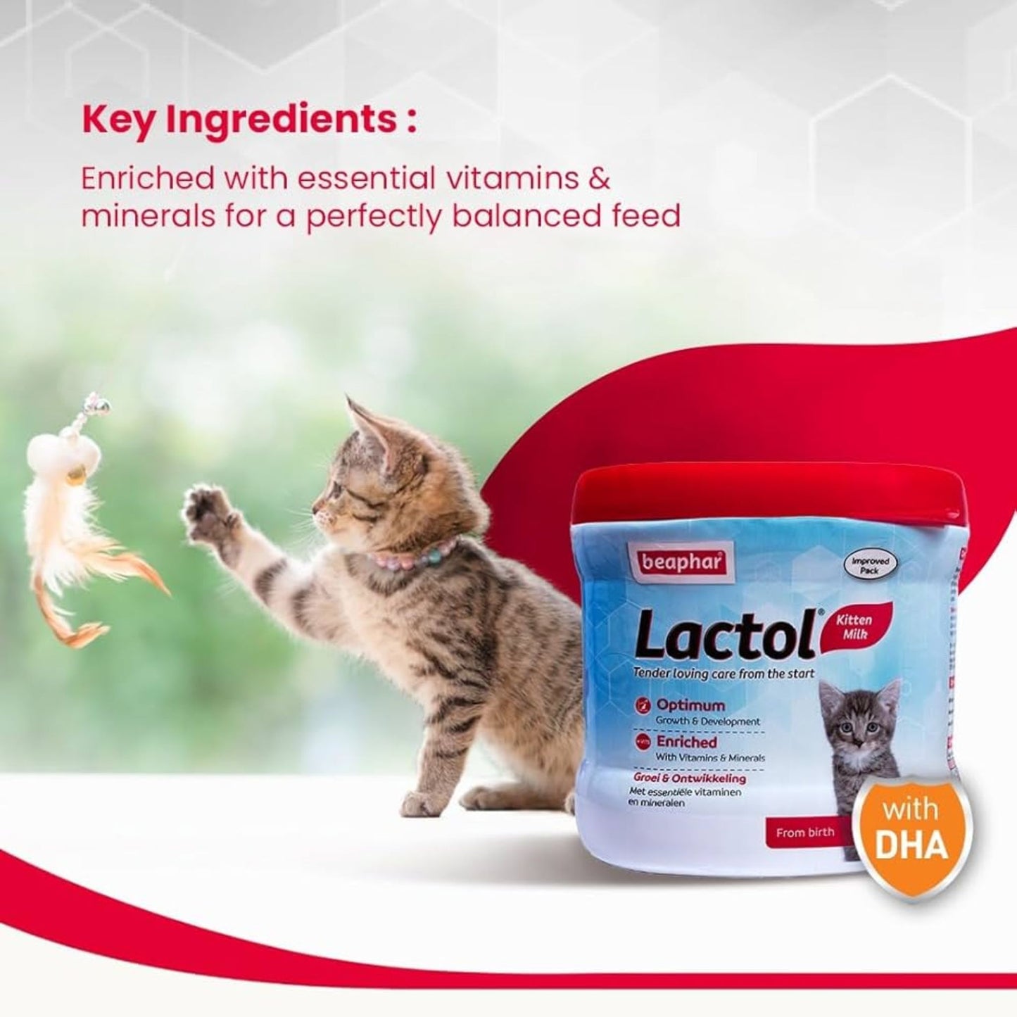 Beaphar Lactol Kitten Milk Replacer Digestive Support Formula – 250g