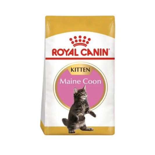 Royal Canin Feline Breed Nutrition Maine Coon Kitten Dry food 2kg