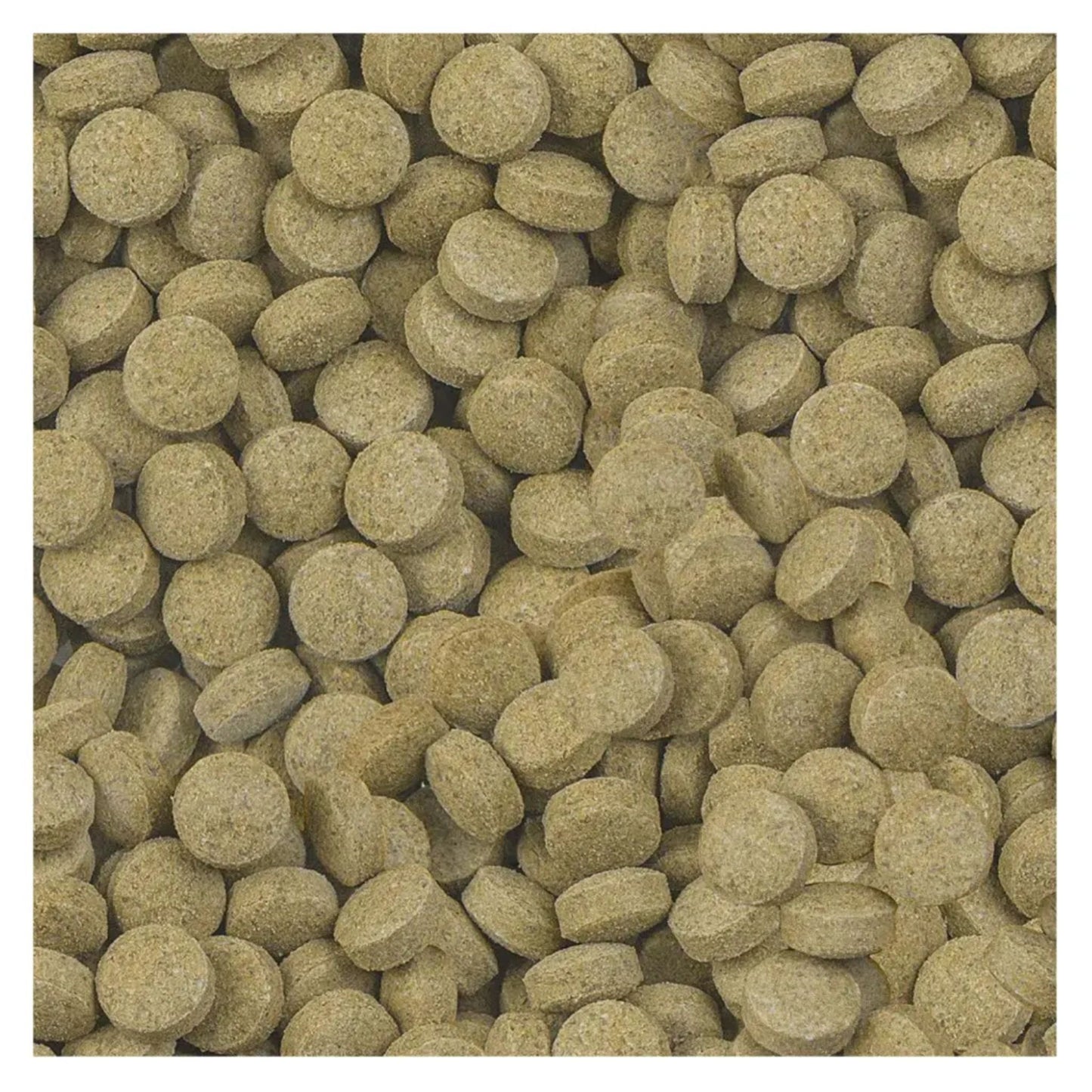 Sera Viformo Nature Tablets Bottom Feeder Fish Food – 100ml/64g