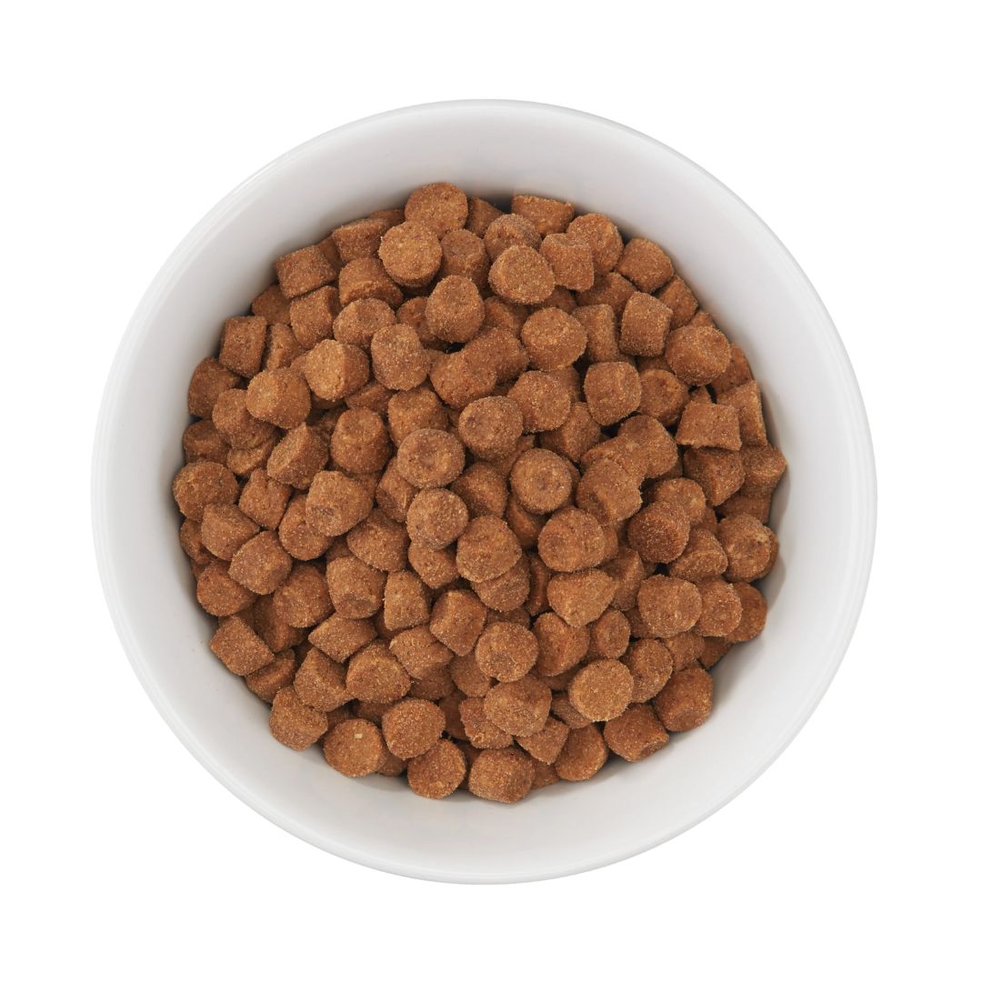 Schesir Adult Dry Cat Food Lamb Maintenance 1.5kg