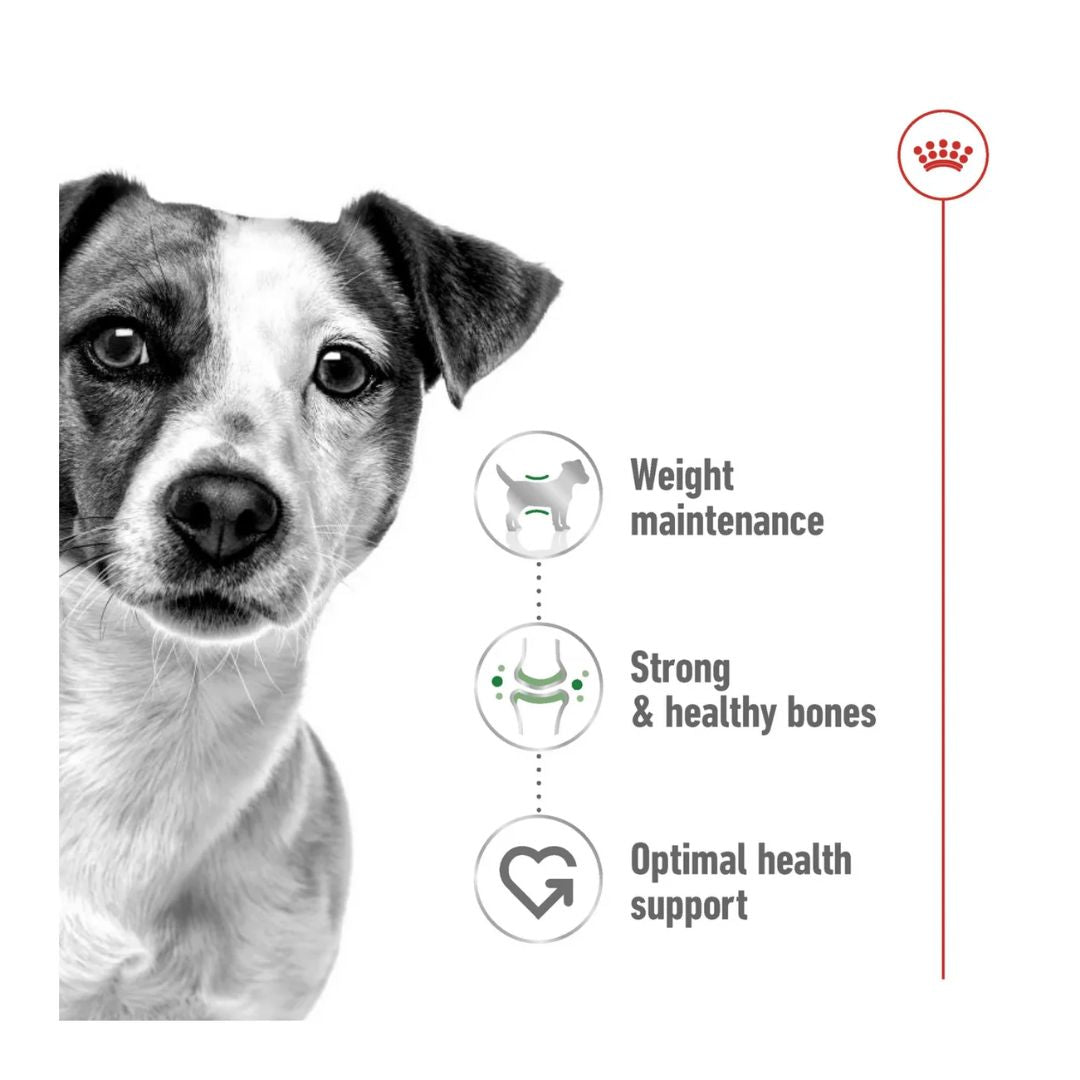 Royal Canin Size Health Mini Adult Dry Dog Food 4kg