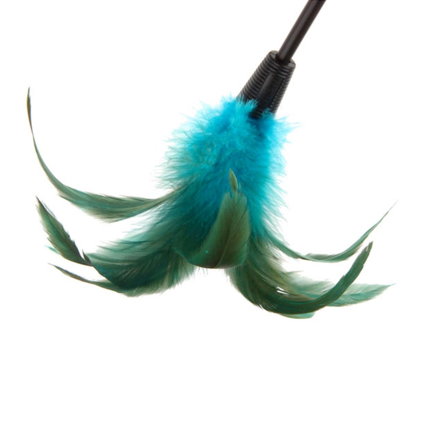 Teal and green feathered cat toy on a white background