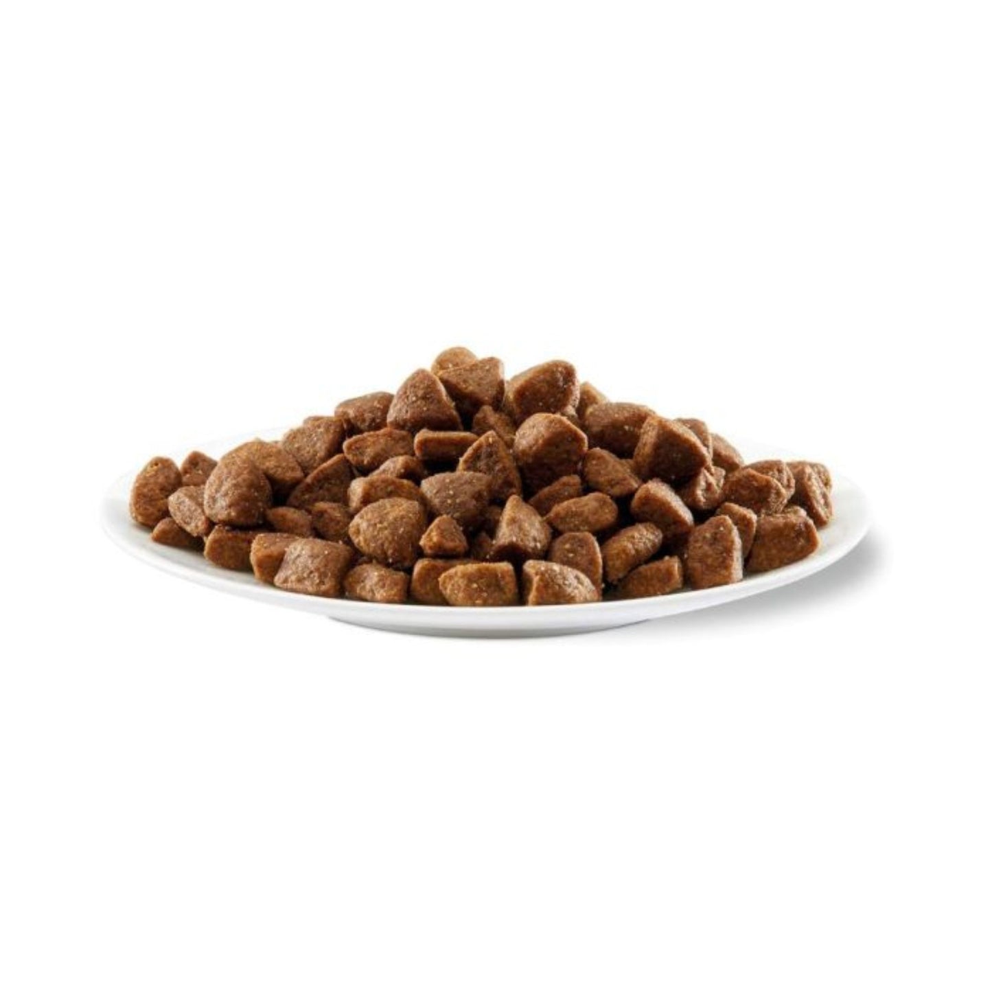 Plate of brown dog food on a white background