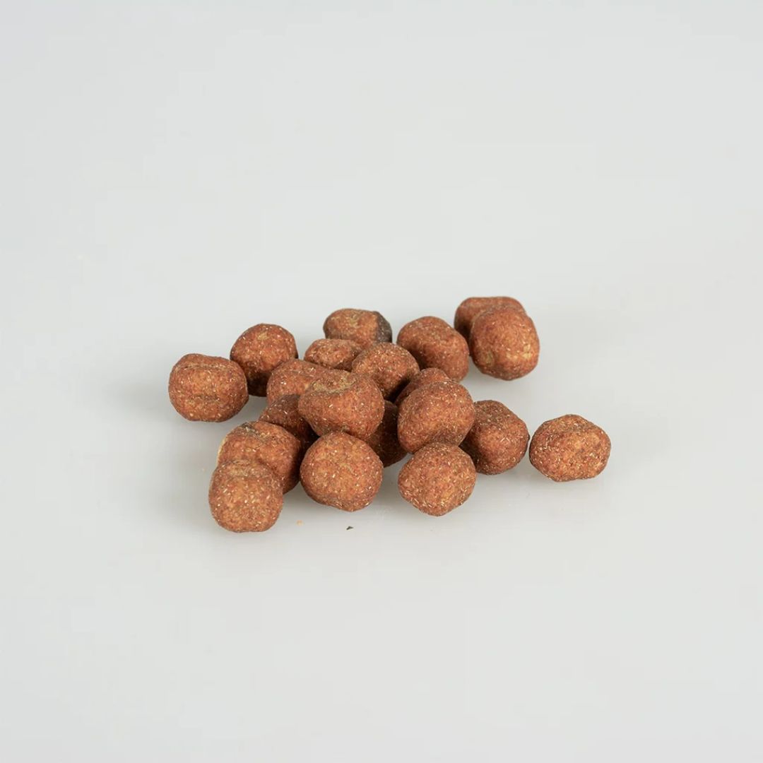 Duvo+ Crunchy Salmon Balls for Cats – 50g Omega-Rich Treats