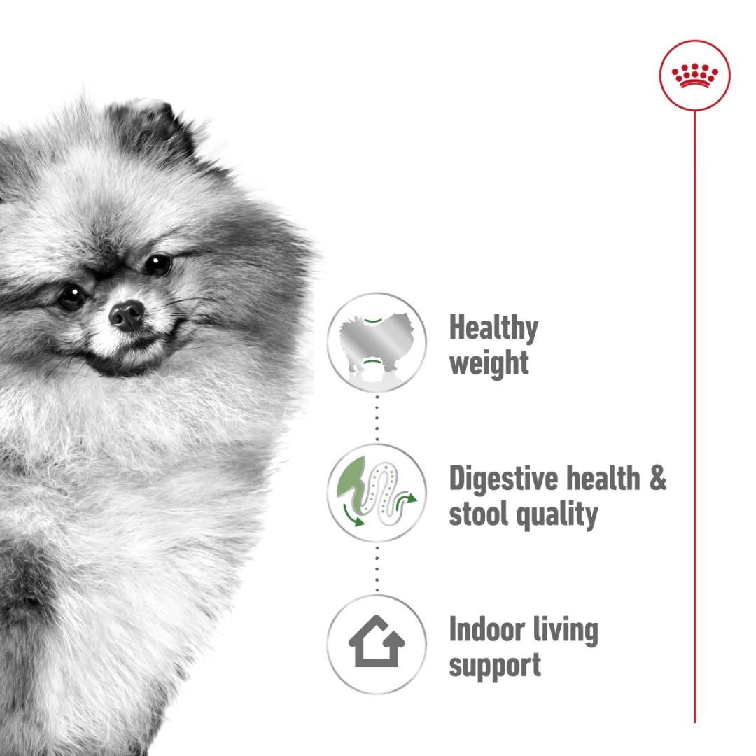 Royal Canin Size Health Mini Indoor Adult Dry Dog Food 1.5kg