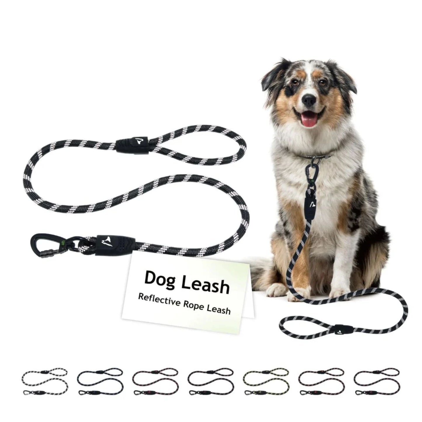 Dog leash with reflective rope, sitting next to a dog on a white background