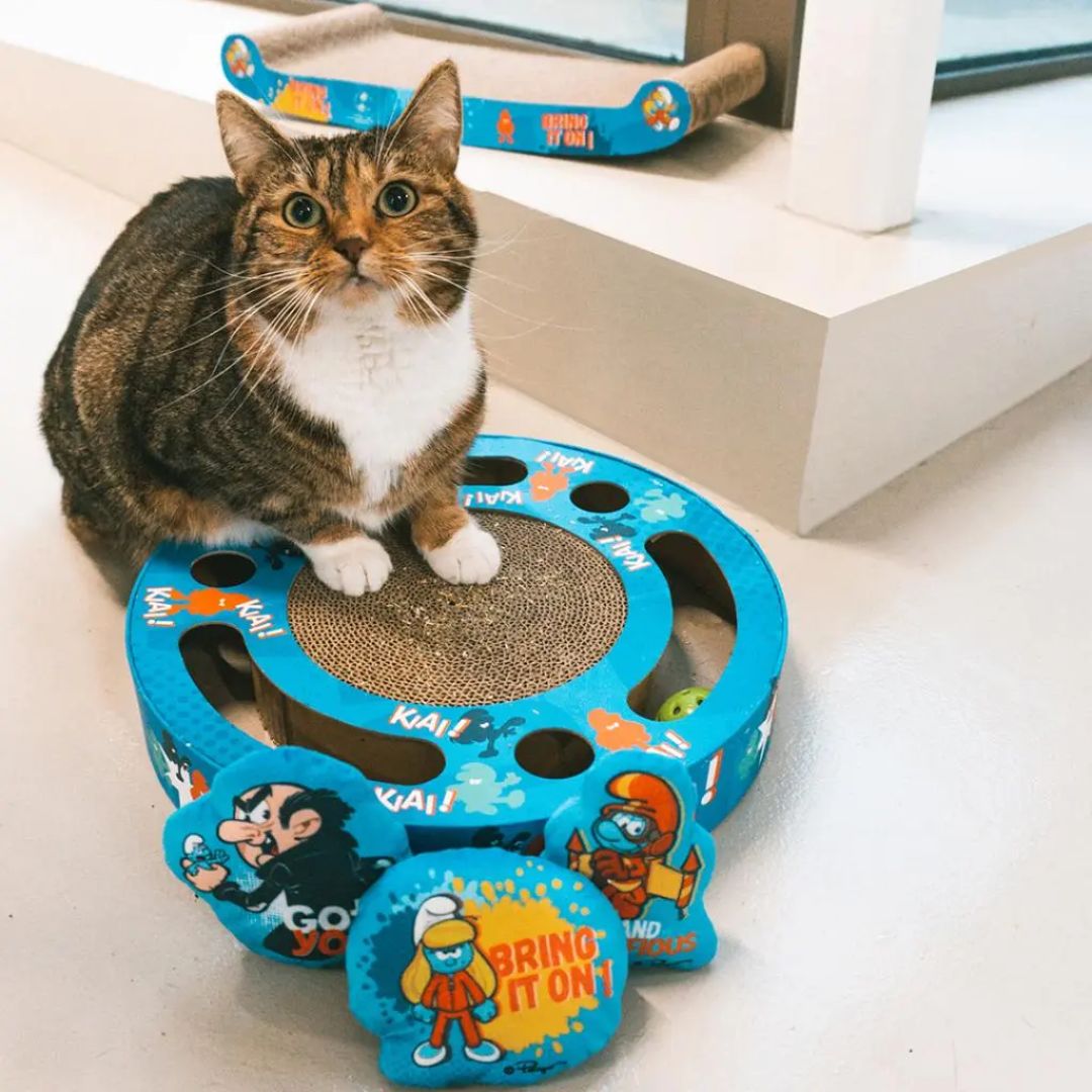 Duvo+ Smurfette Cat Scratcher & Toy – 33x33x5.5cm