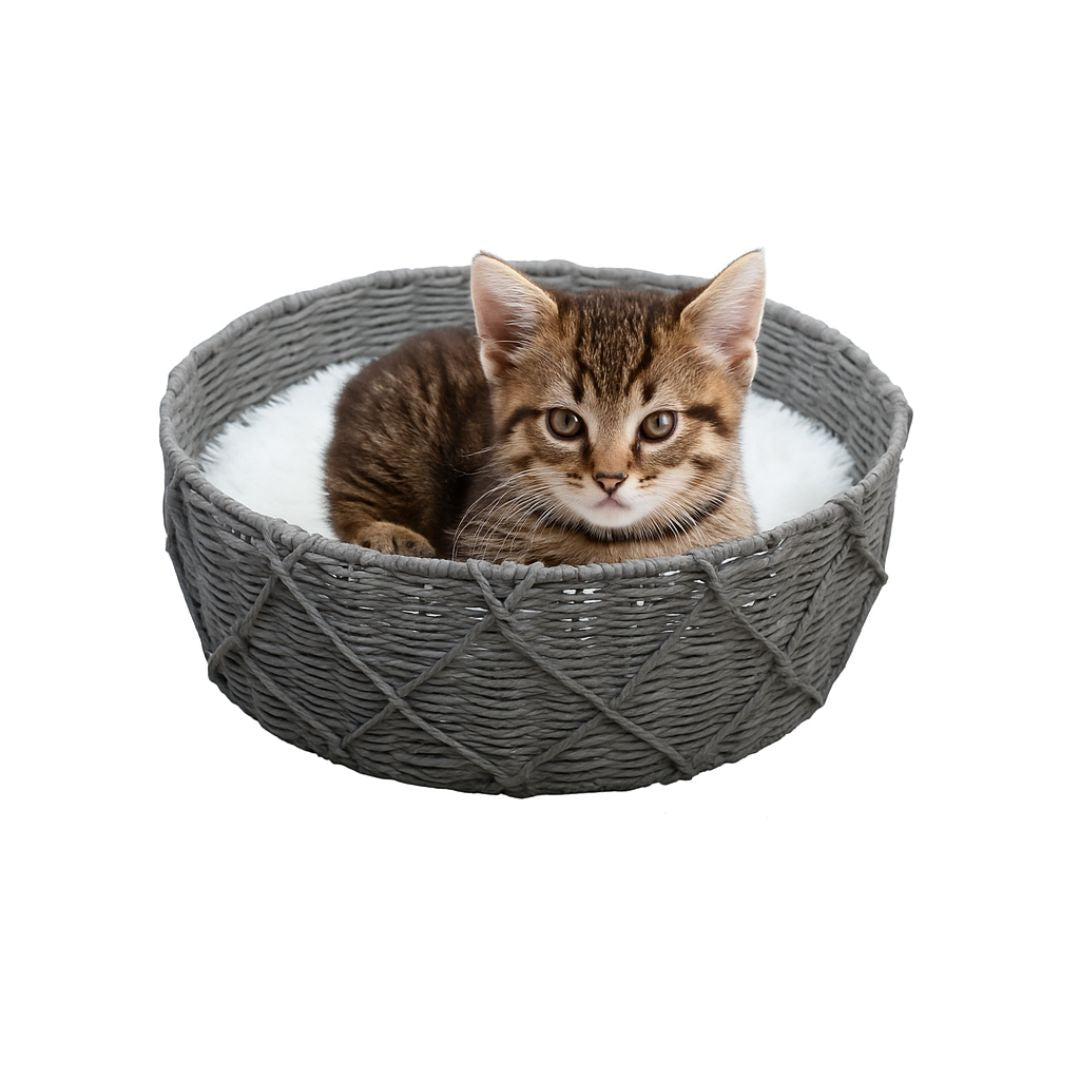 Catry Cat Bed Basket 40x40x15h Cm