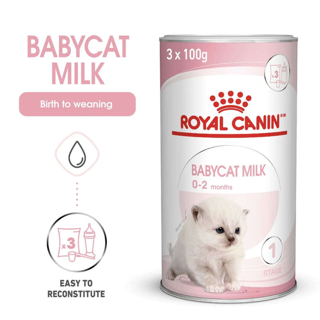 Royal Canin Feline Health Babycat Milk Powder 300g