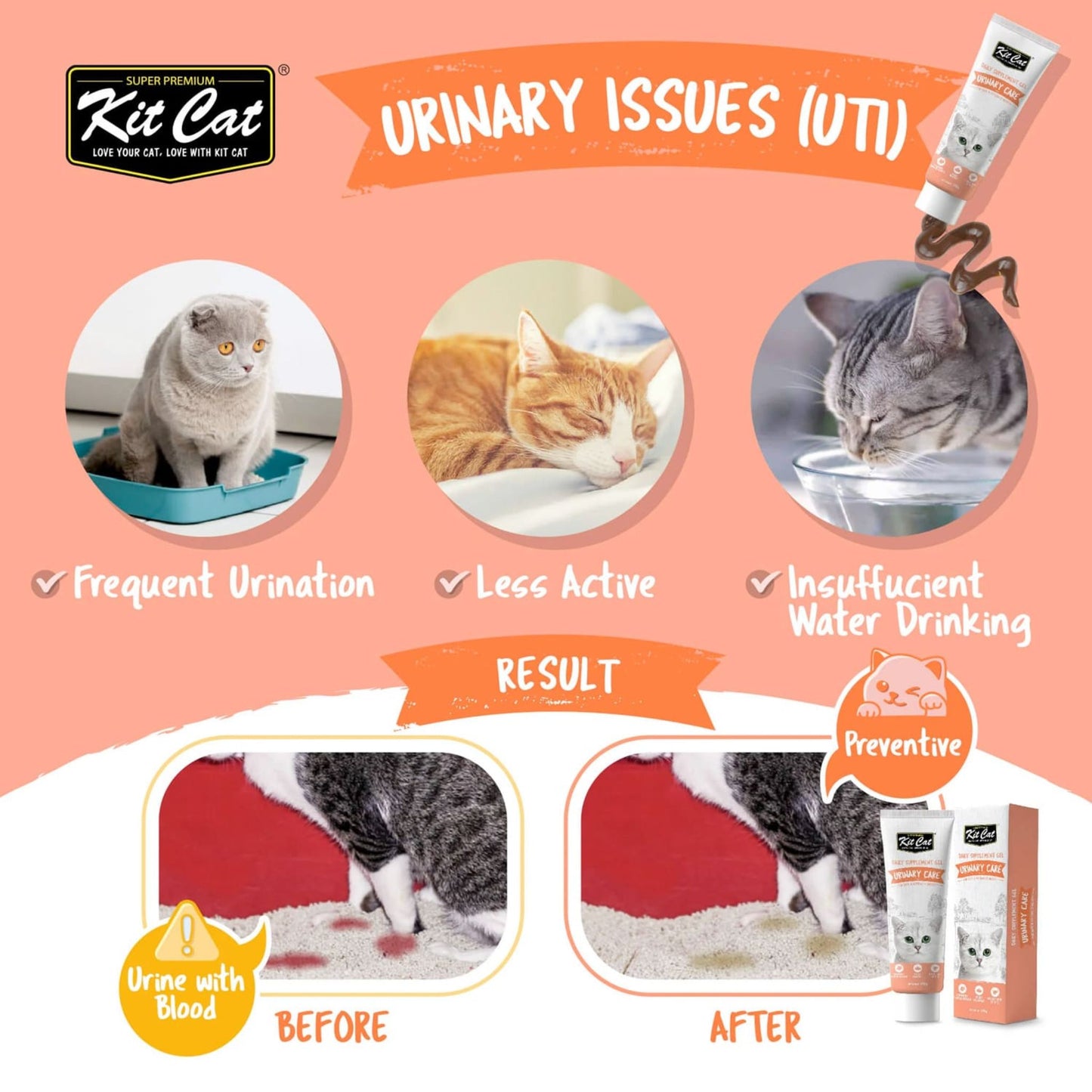 Advertisement for Kit Cat cat food showing symptoms of urinary issues and product packaging.