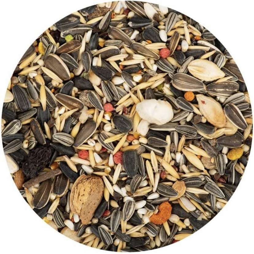 Parrot Mix Seeds 1Kg