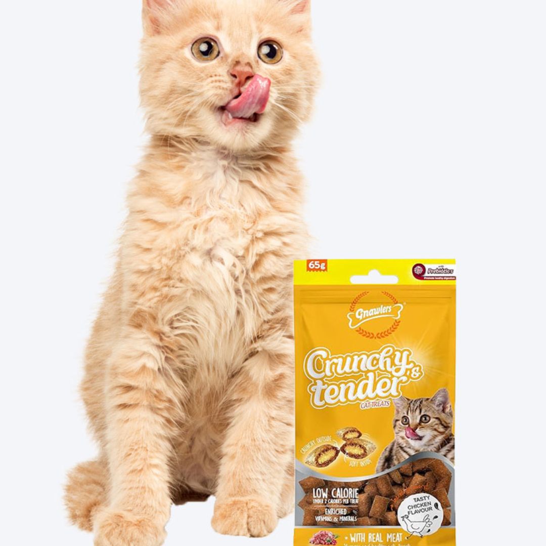 Gnawlers Crunchy & Tender Cat Treats – Chicken Flavor 65g