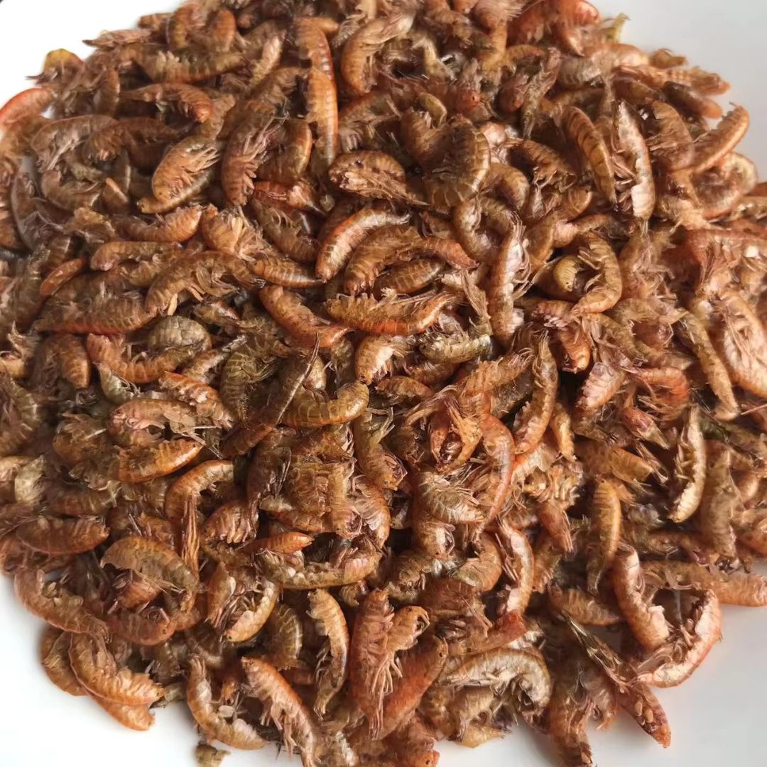 Padovan Gammarus Turtle Food – 1L (130g) Floating Shrimp