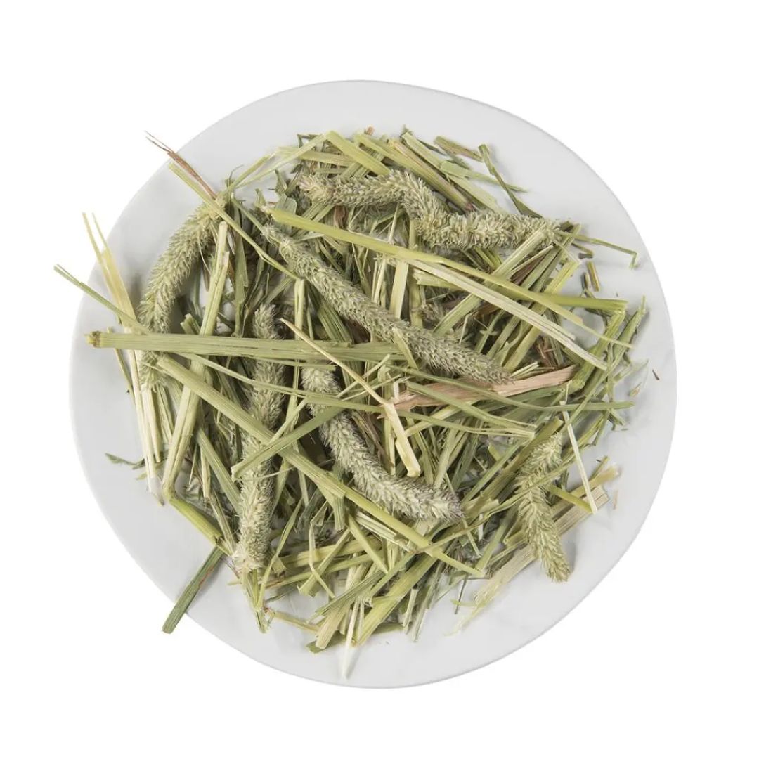 Witte Molen Puur Timothy Hay – 500g Premium Forage