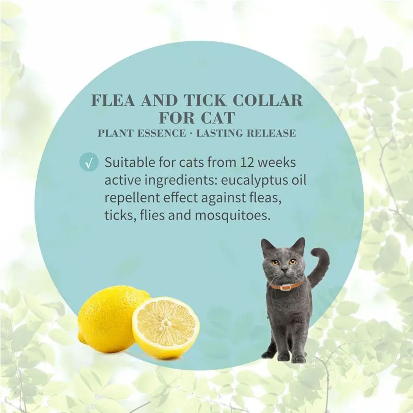 Flea and tick collar for cats with lemon and cat illustration on a light green background