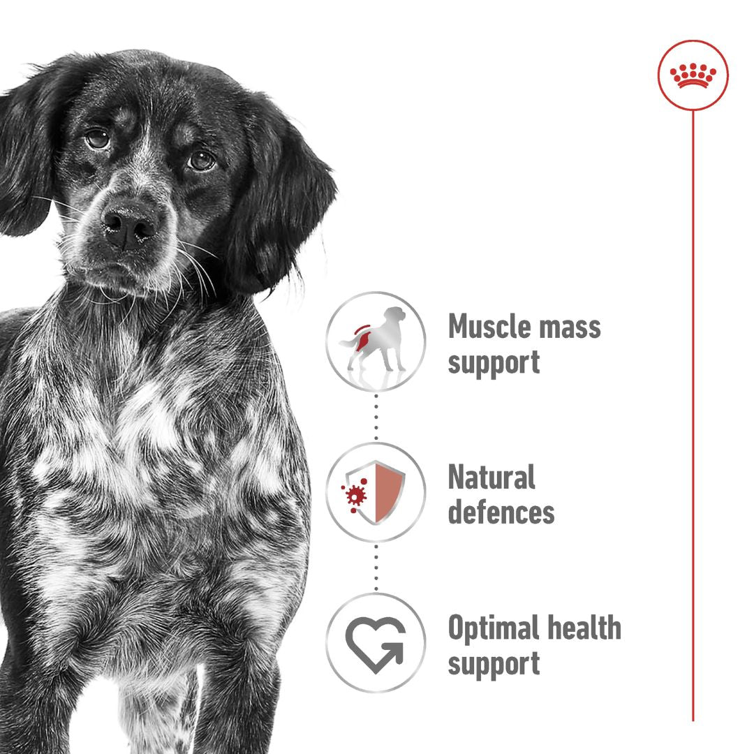Royal Canin Size Health Medium Adult Dog Food 4KG