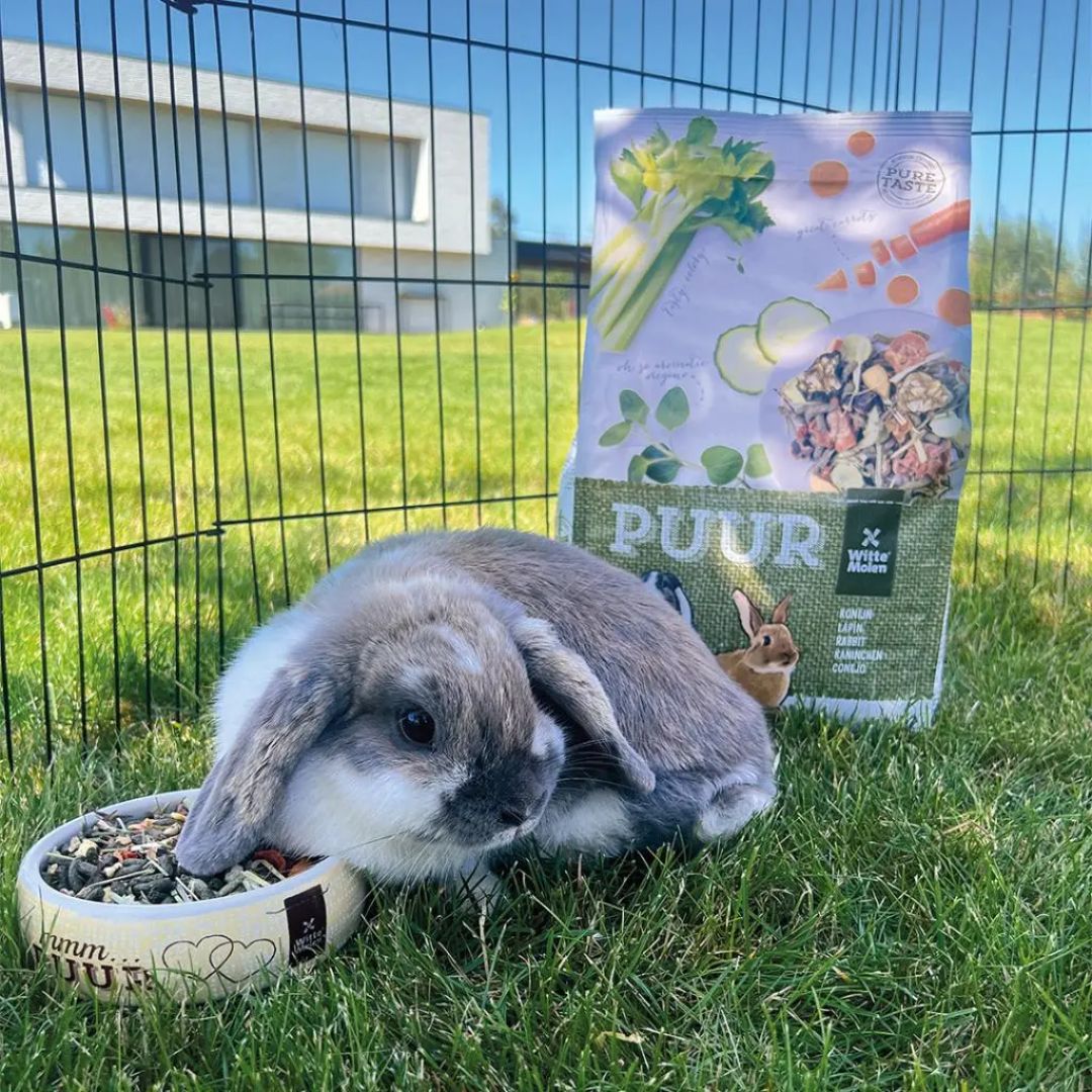 Witte Molen Puur Rabbit Food – 2Kg High-Fiber Formula