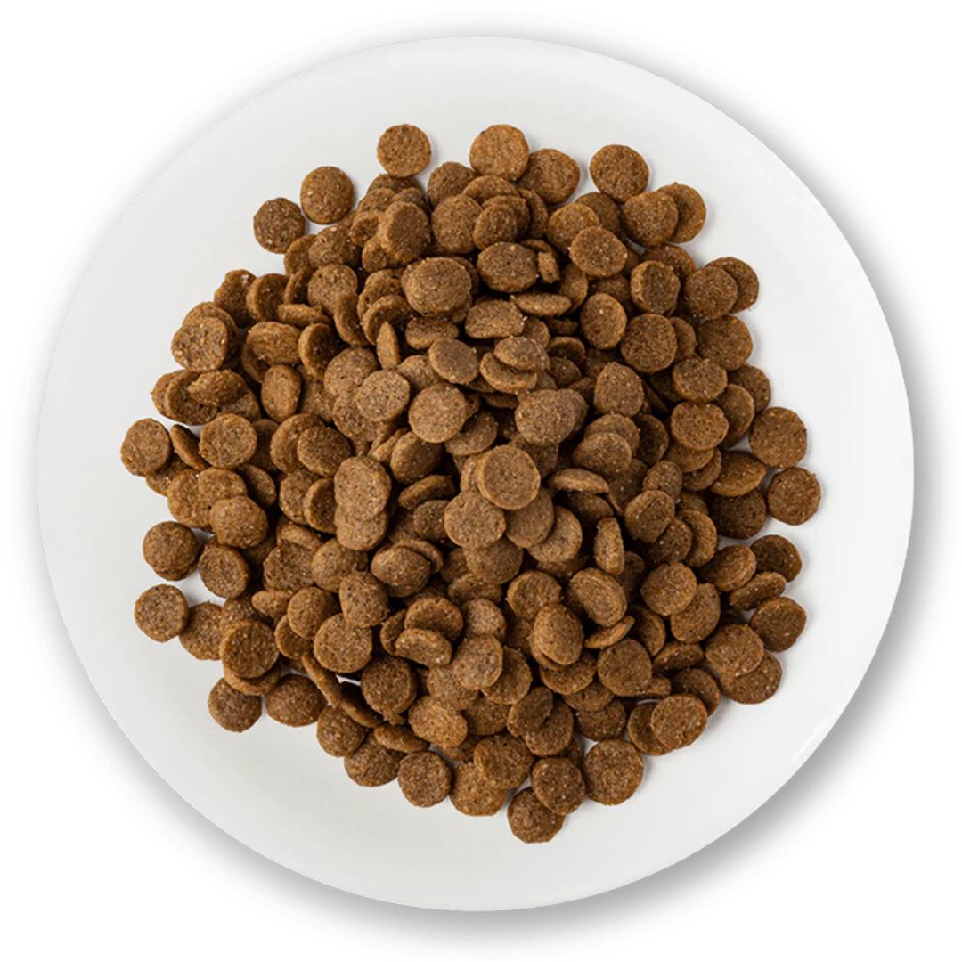 Schesir Adult Dry Cat Food - Chicken Maintenance 10kg