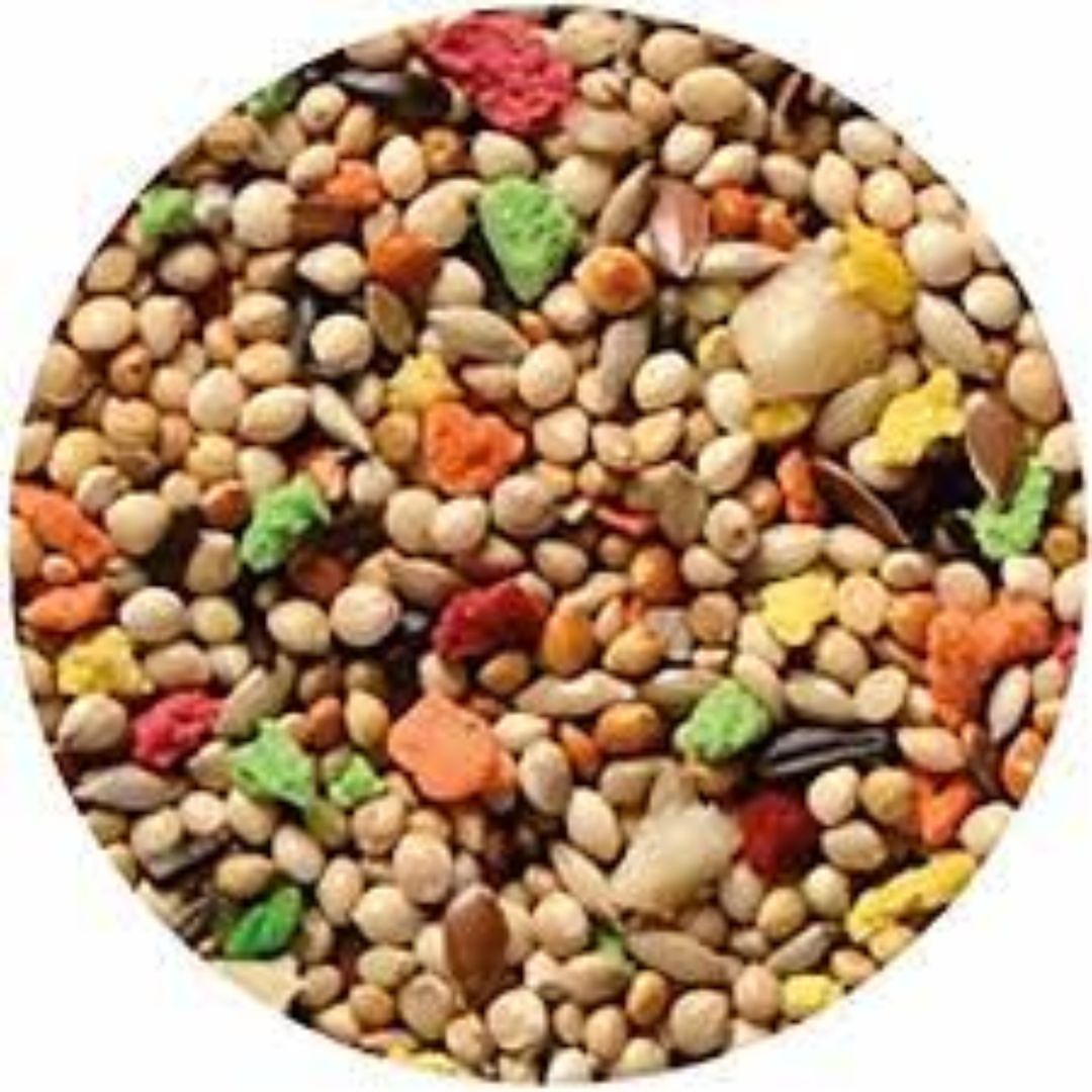 Padovan GrandMix Esotici Bird Food – 400g Tropical Bird Blend