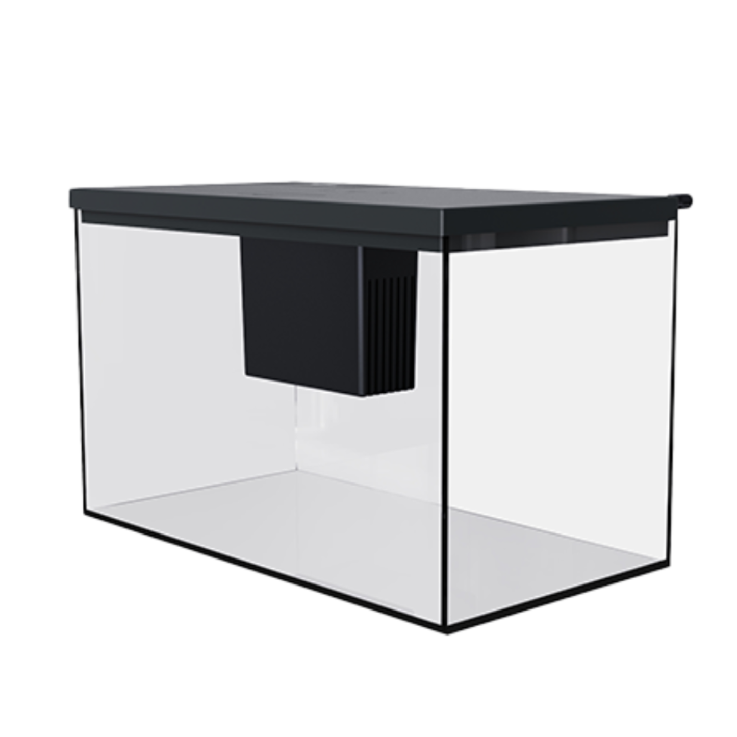 Pawgether  Aquarium - 450x250x325mm