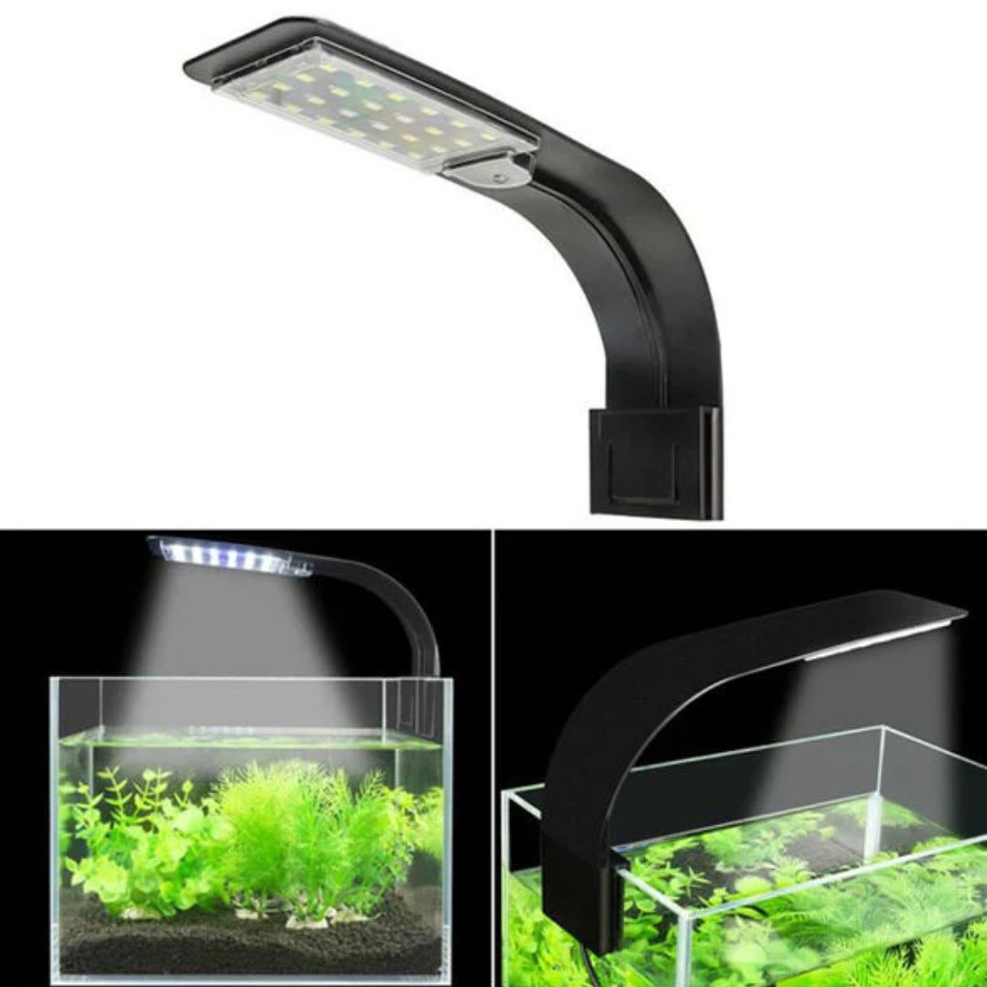 Roxin LED Top Light 10W – White & Blue, Black Body Aquarium LED