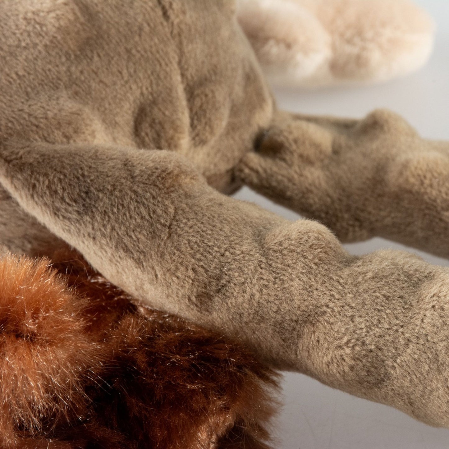 Duvo+ Plush Bear Crackle Dog Toy – 34x21x8cm, Brown