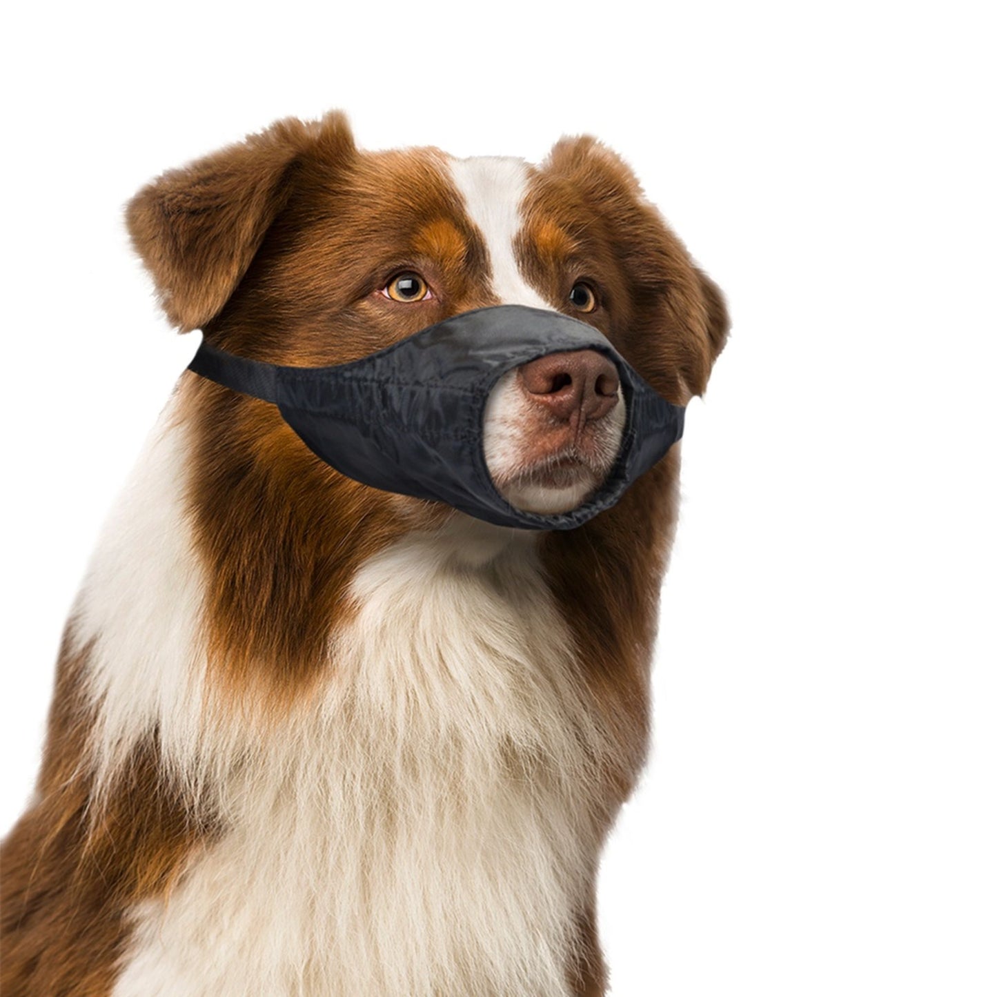 Duvo+ Dog Muzzle Nylon Dimension - 53-77cm