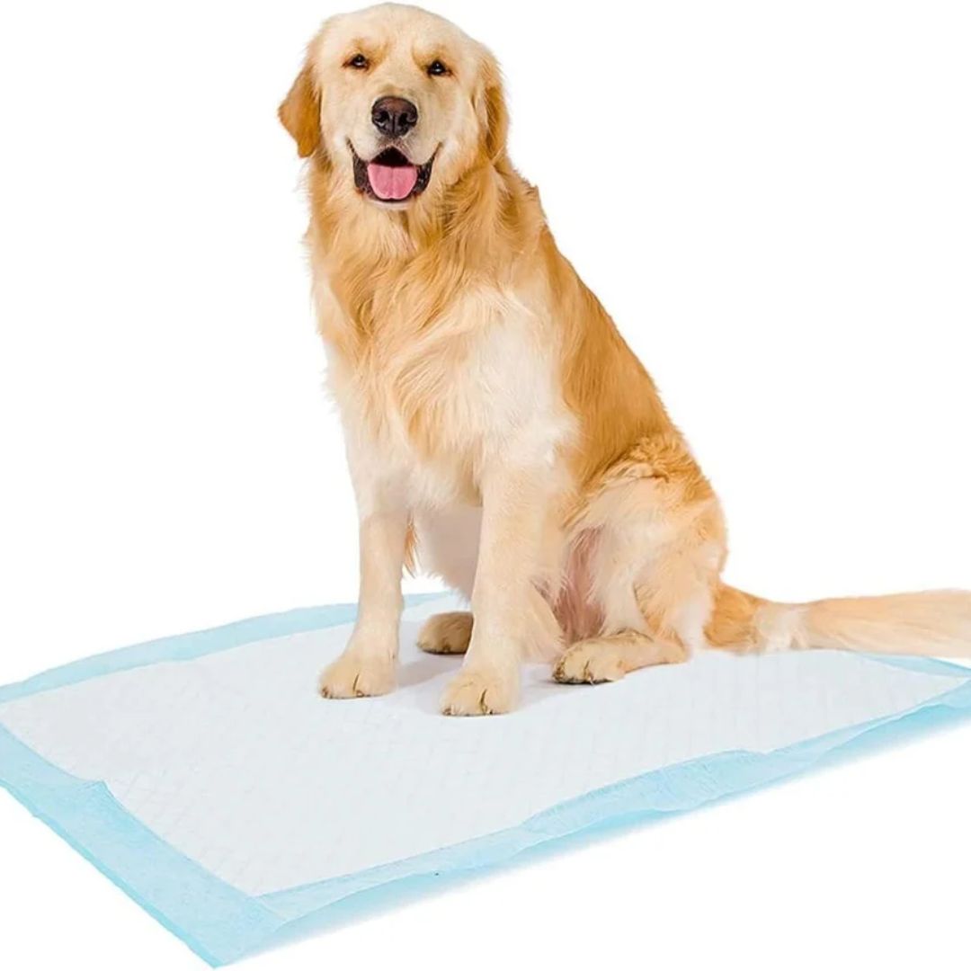 Duvo+ Pet Pads Premium XL – 60x60cm, 50pcs, Value Pack