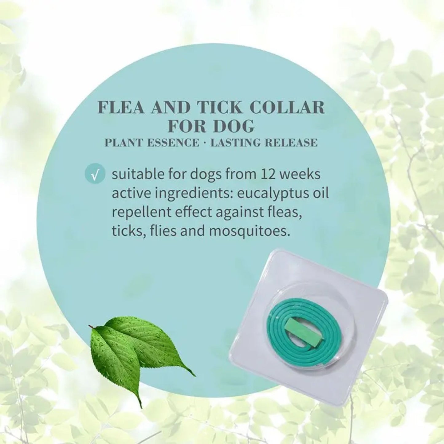 Flea and tick collar for dogs with eucalyptus oil on a green leafy background