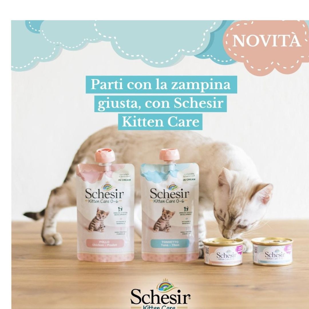Schesir Kitten Pouch Cream 0-6 Tuna Wet Food 150g