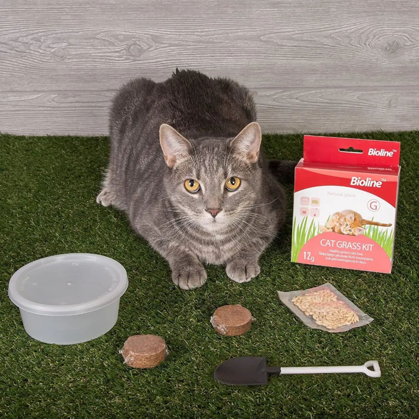 Bioline Catgrass Kit Digestive Aid For Cats - 12g