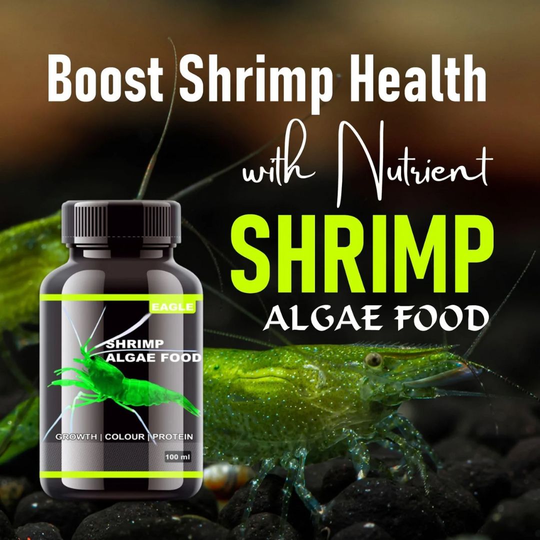 Horizone Eagle Shrimp & Algae Food – 100ml