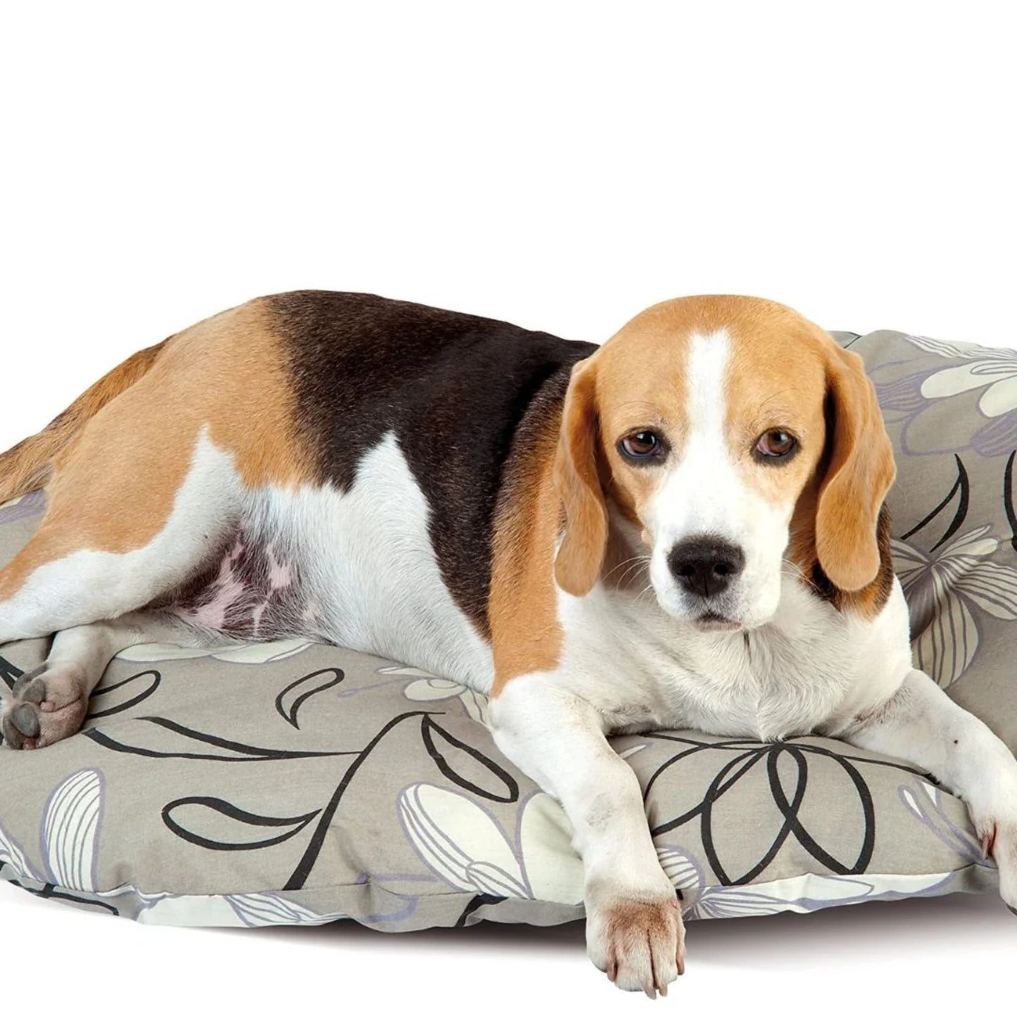 Imac Cuscino Puf For Didosizes - S