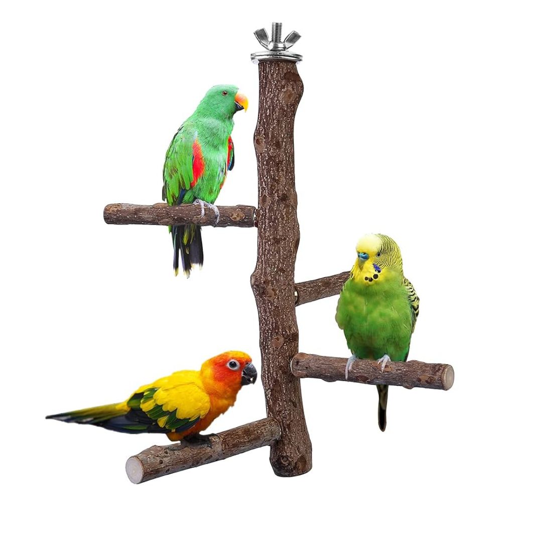 Pado Bird Perch – 20 cm Length, Ø2–2.5 cm Grip Size