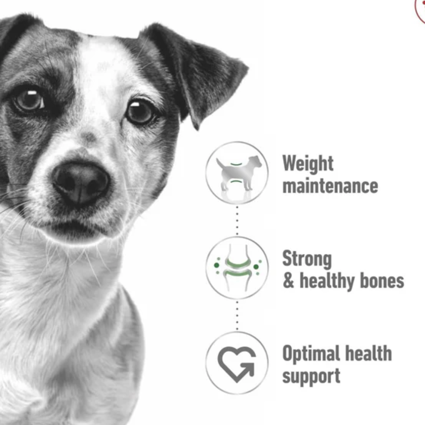 Royal canin Health Nutrition Mini Adult Dog Wet Food