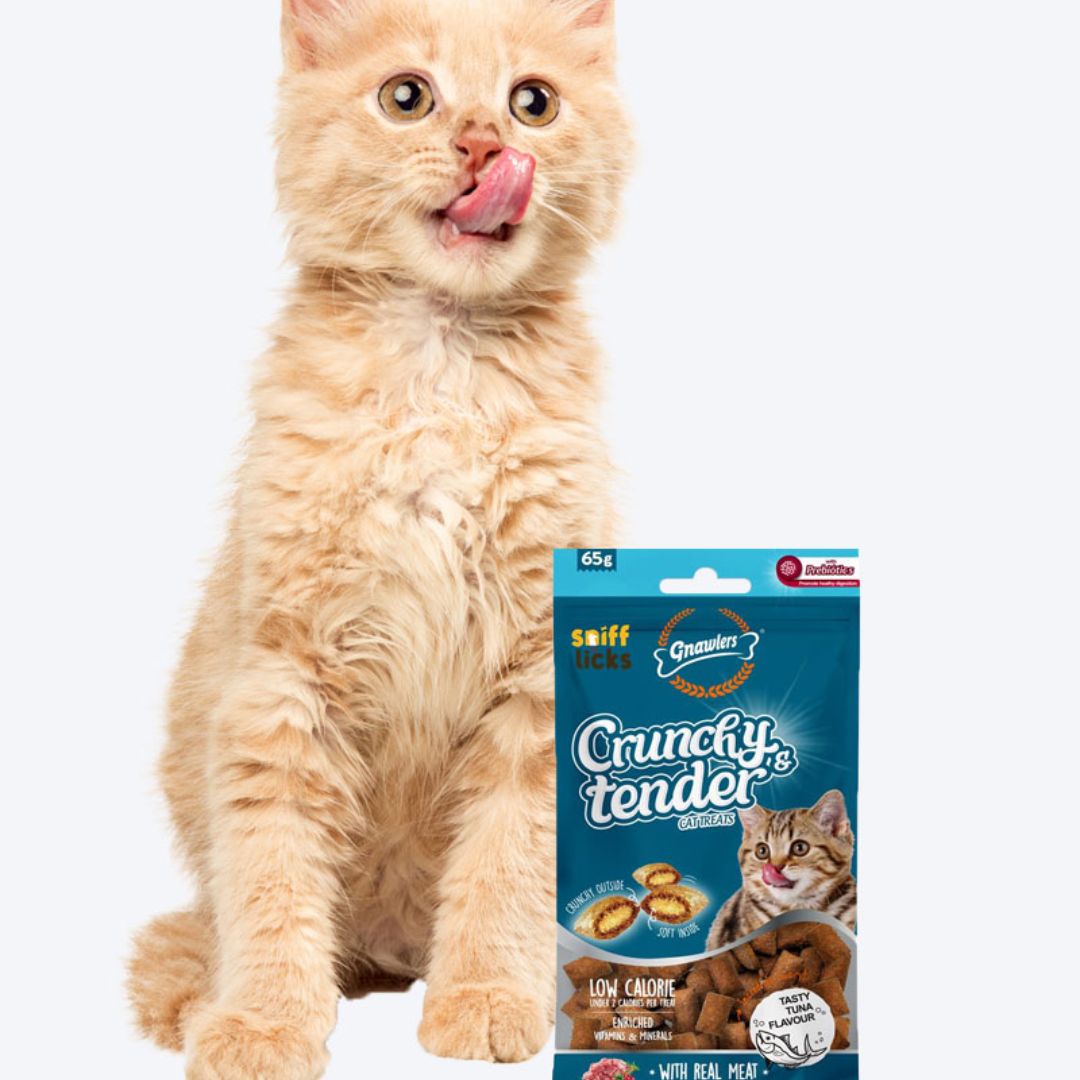 Gnawlers Crunchy & Tender Cat Treats – Tuna Flavor 65g