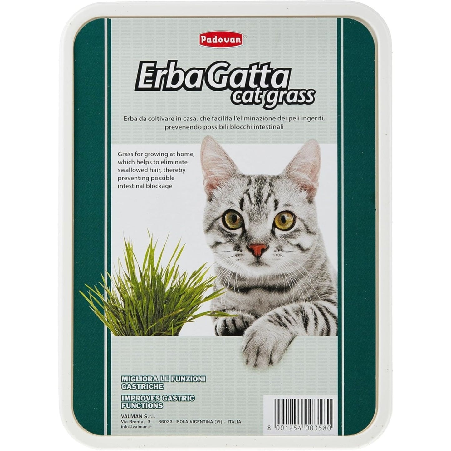 Padovan Erbagatto Cat Grass – Natural Digestive Aid For Cats